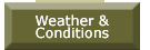 weather and conditions link