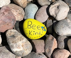 bee kind painted rock
