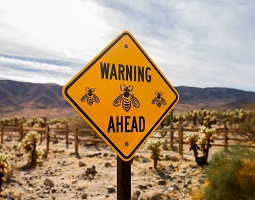 bees ahead sign